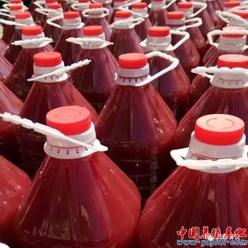 中國養殖基地 yzjidi.com