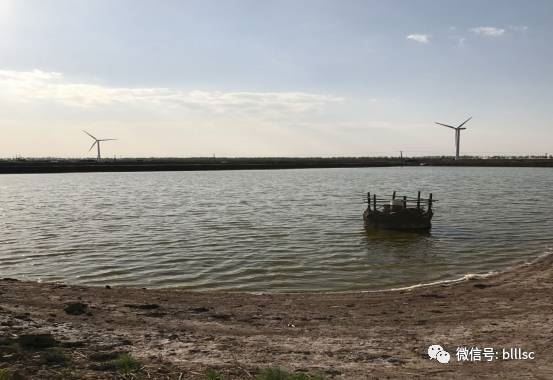 中國養殖基地 yzjidi.com