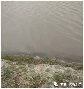 中國養殖基地 yzjidi.com