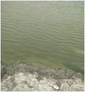 中國養殖基地 yzjidi.com