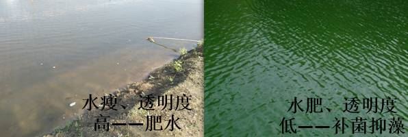 中國養殖基地 yzjidi.com