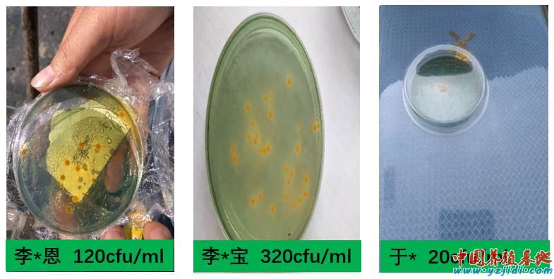 中國養殖基地 yzjidi.com