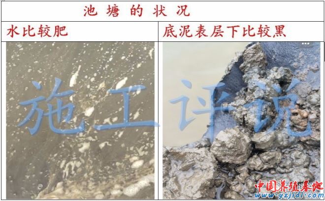 中國養殖基地 yzjidi.com
