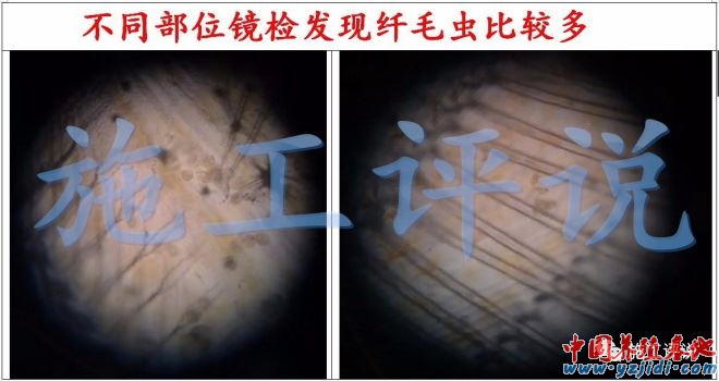 中國養殖基地 yzjidi.com
