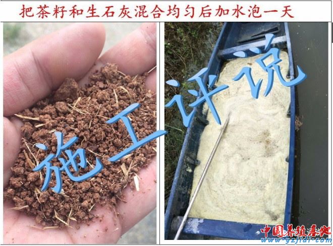 中國養殖基地 yzjidi.com