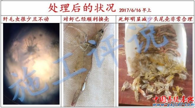 中國養殖基地 yzjidi.com