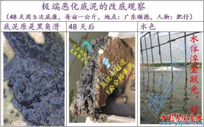 中國養殖基地 yzjidi.com