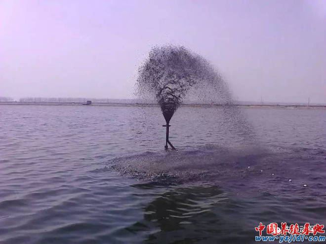 中國養殖基地 yzjidi.com