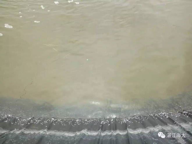 中國養殖基地 yzjidi.com