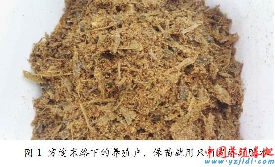 中國養殖基地 yzjidi.com