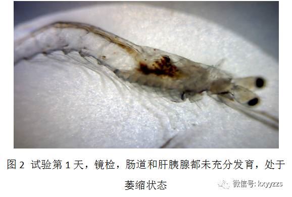 中國養殖基地 yzjidi.com