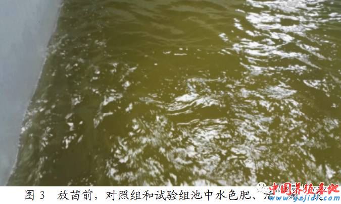 中國養殖基地 yzjidi.com