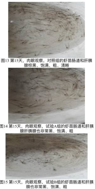 中國養殖基地 yzjidi.com