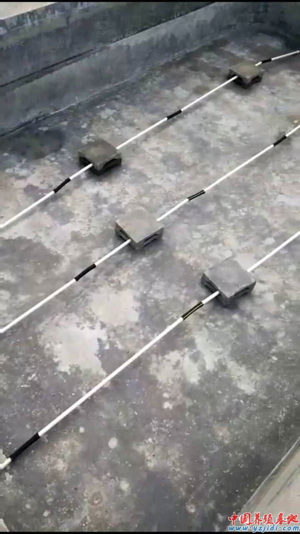 中國養殖基地 yzjidi.com