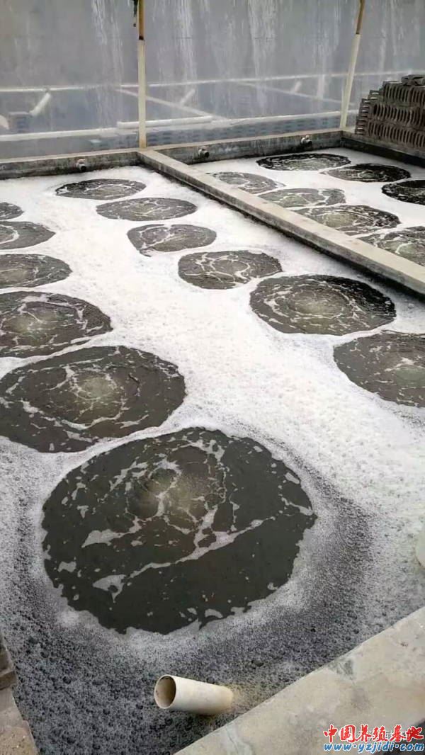 中國養殖基地 yzjidi.com