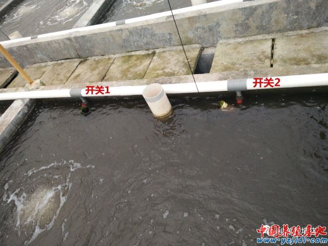 中國養殖基地 yzjidi.com
