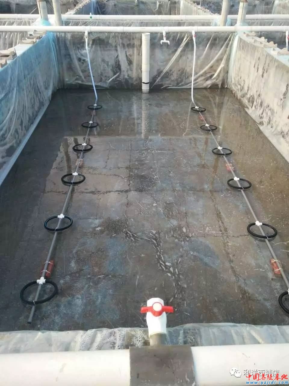 中國養殖基地 yzjidi.com