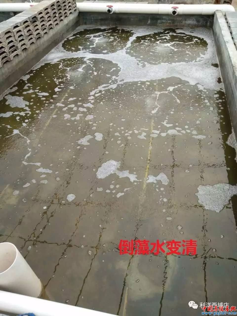 中國養殖基地 yzjidi.com