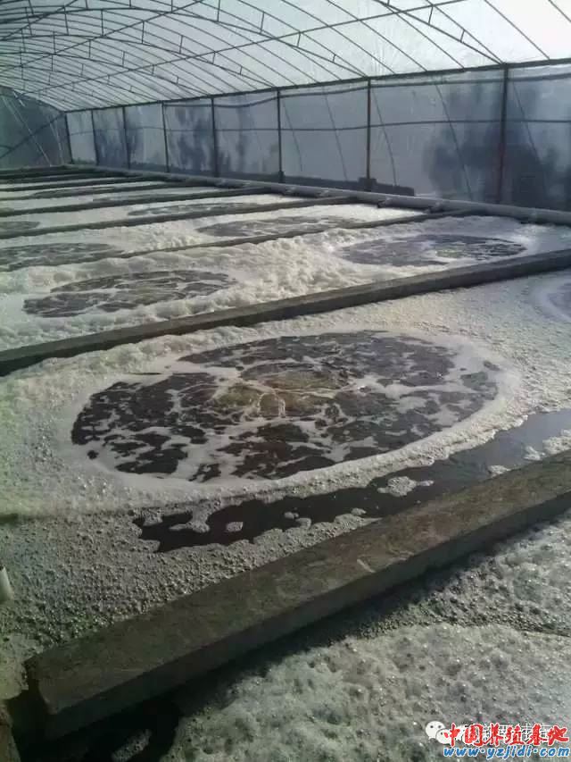 中國養殖基地 yzjidi.com