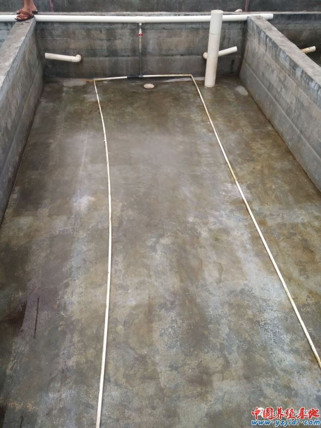 中國養殖基地 yzjidi.com