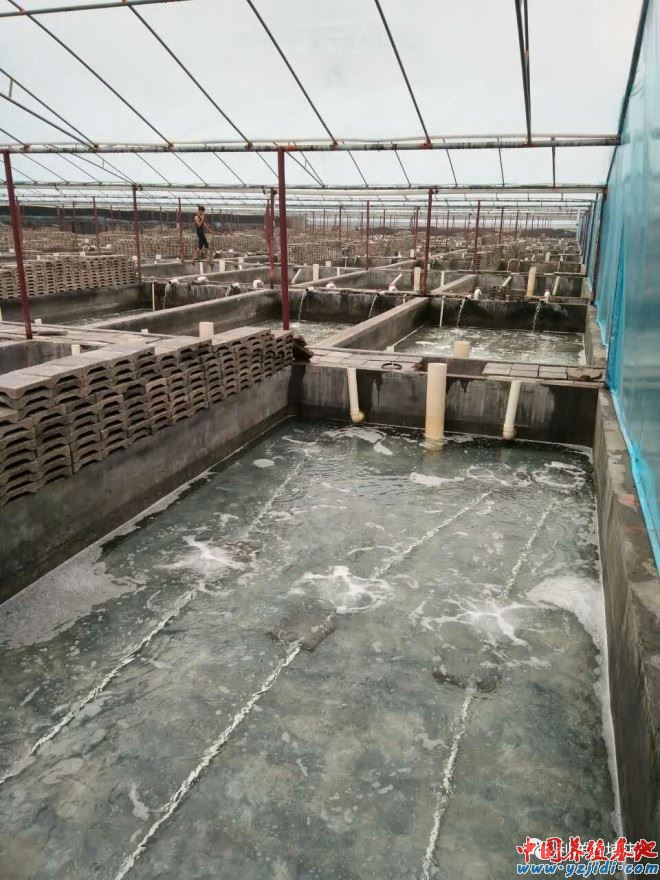中國養殖基地 yzjidi.com