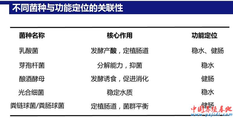 中國養殖基地 yzjidi.com