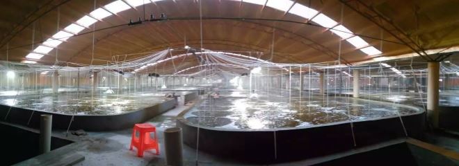 中國養殖基地 yzjidi.com