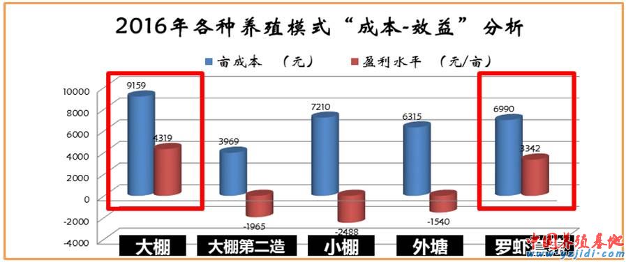 中國養殖基地 yzjidi.com
