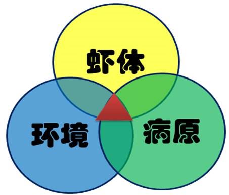 中國養殖基地 yzjidi.com