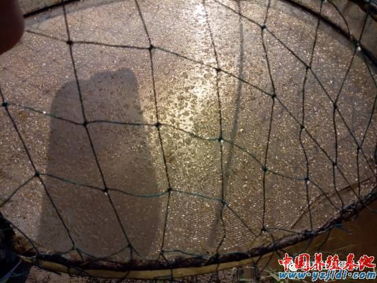 中國養殖基地 yzjidi.com