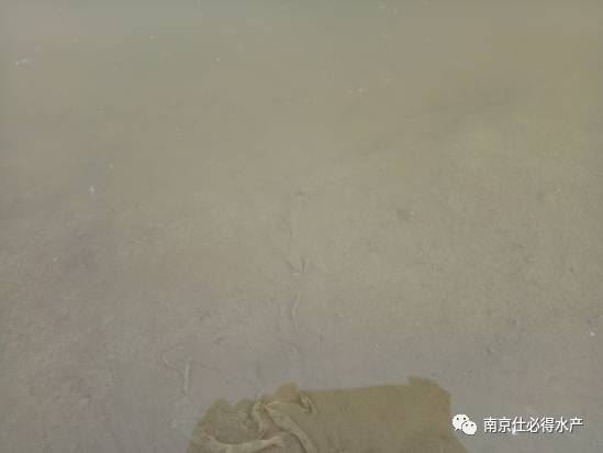 中國養殖基地 yzjidi.com