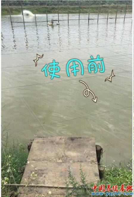 中國養殖基地 yzjidi.com