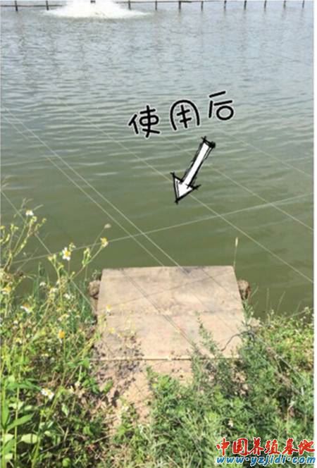 中國養殖基地 yzjidi.com