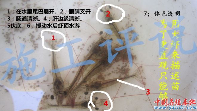 中國養殖基地 yzjidi.com