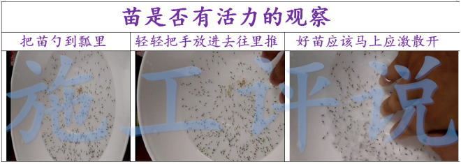中國養殖基地 yzjidi.com