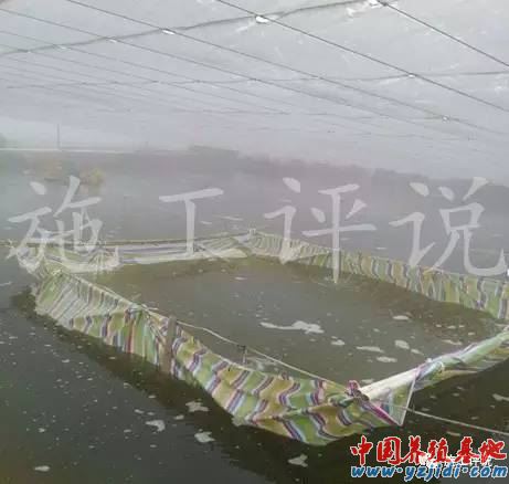 中國養殖基地 yzjidi.com