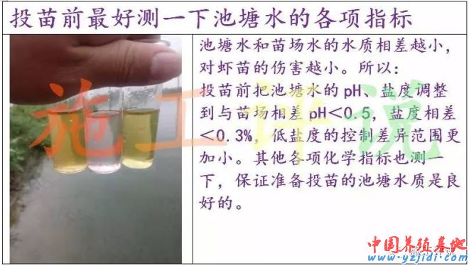 中國養殖基地 yzjidi.com