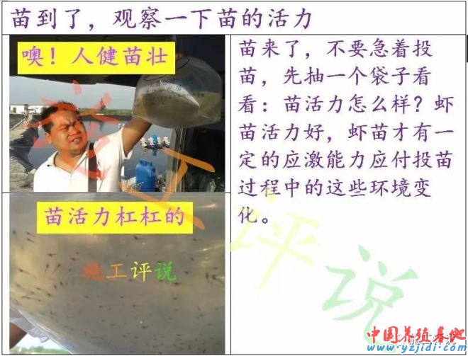 中國養殖基地 yzjidi.com