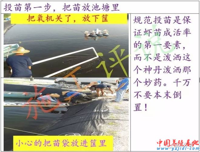 中國養殖基地 yzjidi.com