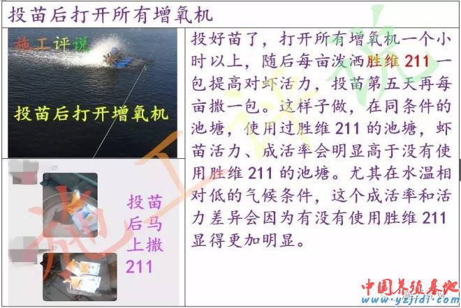 中國養殖基地 yzjidi.com