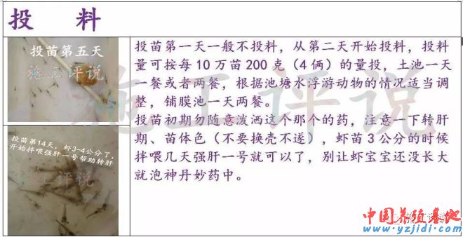 中國養殖基地 yzjidi.com