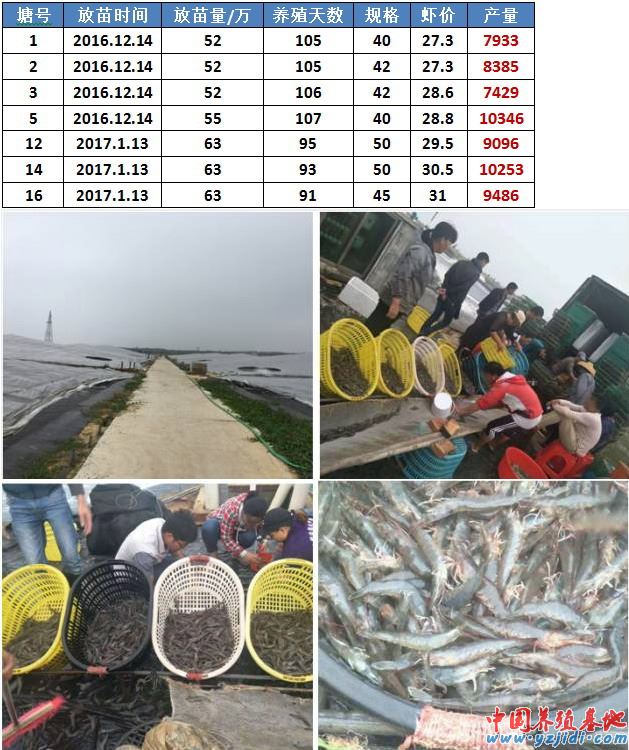 中國養殖基地 yzjidi.com