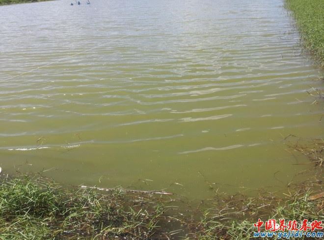 中國養殖基地 yzjidi.com