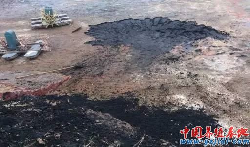 中國養殖基地 yzjidi.com
