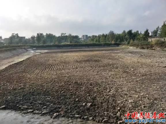 中國養殖基地 yzjidi.com