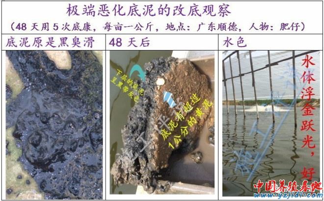 中國養殖基地 yzjidi.com