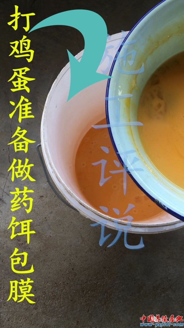 中國養殖基地 yzjidi.com
