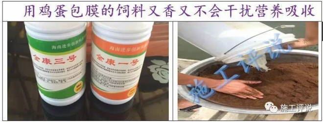 中國養殖基地 yzjidi.com