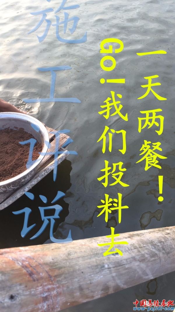 中國養殖基地 yzjidi.com