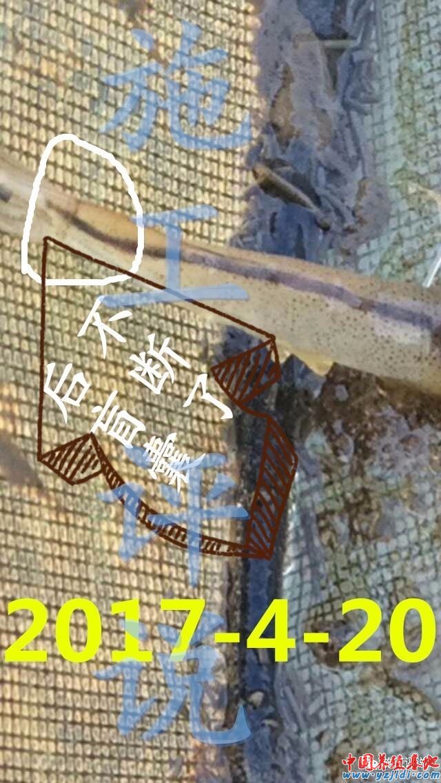 中國養殖基地 yzjidi.com